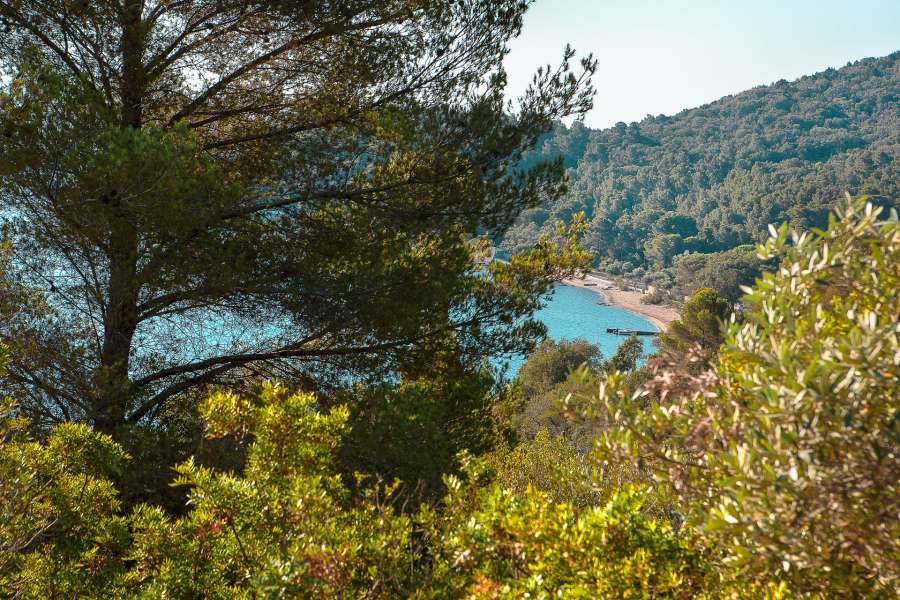 Elba Island  Elba Island