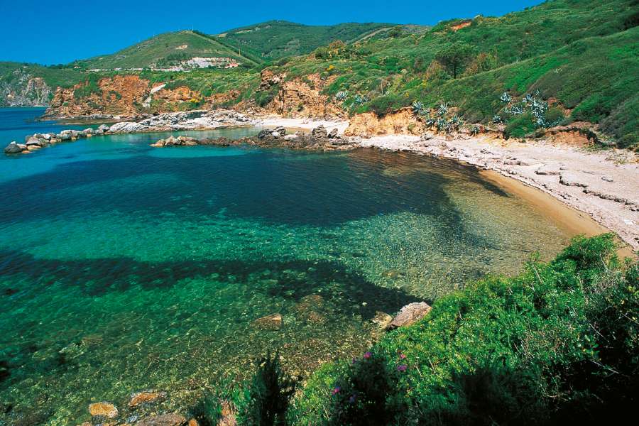 On Elba Island with your four-legged friend On Elba Island with your four-legged friend